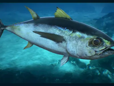 Tuna Fish Low-poly 3D model