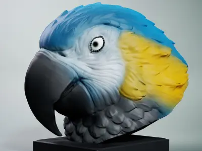Parrots Free 3D print model