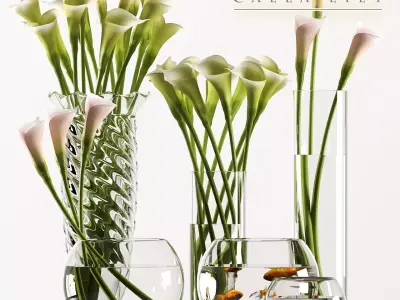 callalilly 3 calla lilies in glass vases 3D model