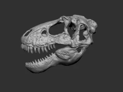 Dinosaur Skull 3D print model