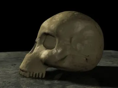 Skull Hominid 3D model