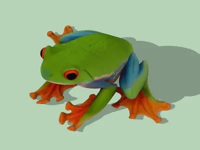 Tree frog Low-poly 3D model