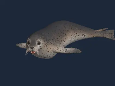 animated seal sea lion Low-poly 3D model