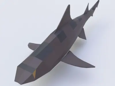 Leopard shark fish low poly 3d model  Low-poly 3D model