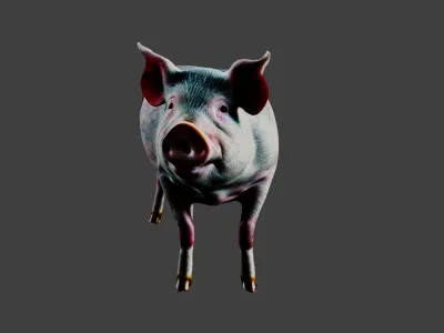 Pig Animal Low-poly 3D model