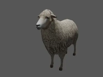Animated Sheep 3D Model Low-poly 3D model