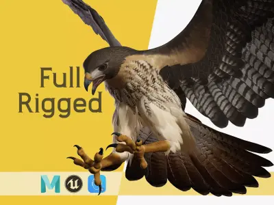 Stunning 3D Model of a Majestic Falcon Wildlife Enthusiasts Low-poly 3D model