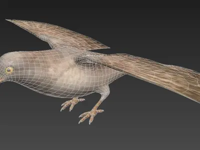 cuckoo bird in flight Low-poly 3D model