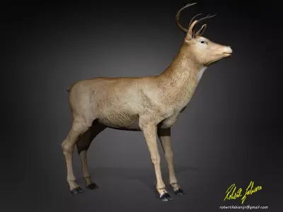 A Deer - person Low-poly 3D model