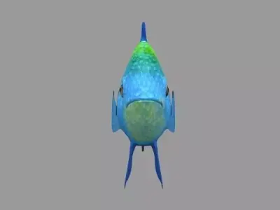 Modal Fish03 Low-poly 3D model