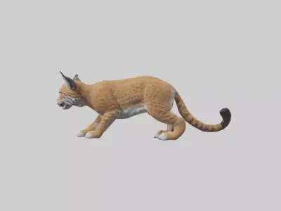 Bobcat hunting model 3D model