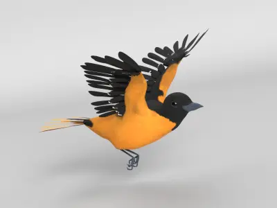 Animated Balitmore Oriole Bird 3D model