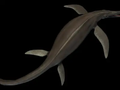 Shonisaurus Asset Pack Low-poly 3D model