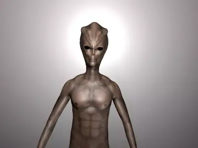 Alien Grey 2 realistic - low-poly 3d model Low-poly 3D model