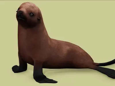 SEAL RIGGED ANIMATED 3 Low-poly 3D model