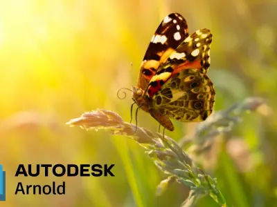 Painted Lady - Butterfly Rig 3D model