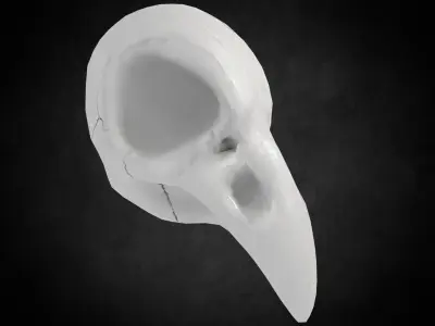 Low poly Crowskull bird of prey mask Low-poly 3D model