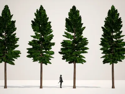 Japanese Endemic Species Plant - 4 Japanese false cypress Tree Low-poly 3D model