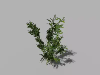 low poly river shrub Low-poly 3D model