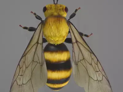 simple bee 3D print model