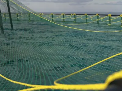 Fish Farm Net Ocean Sustainable Octane 3D model