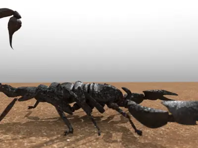 A highly detailed and UV textured 3d model of a scorpion 3D model