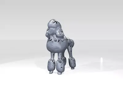 Poodle Dust Voronoi 3D model