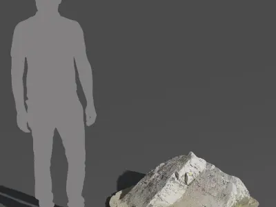  Small Jagged Beach Rock Model 