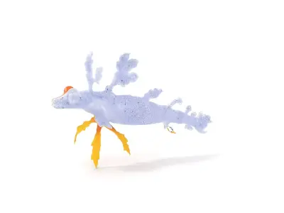 Orange Leafy Seadragon model pack Low-poly 3D model