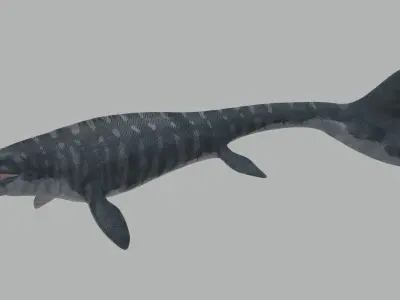 Mosasaurus Hoffmanni Historically Accurate 3D model