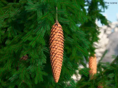 Opened Pine Seed Cone 3D model