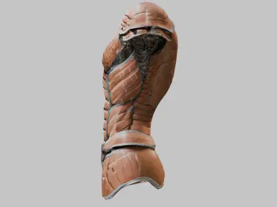 Medieval Body Armor Torso and Shoulder Pads Low-poly 3D model