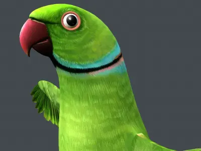 Parrot  bird Low-poly 3D model