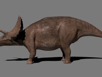 Triceratops Tribute - 8K 3D model