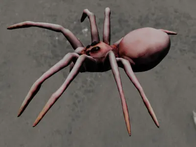 Spider Animated and Rigged  Low-poly 3D model