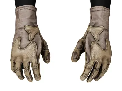 OUTDOOR RESEARCH OVERLORD GLOVES Low-poly 3D model