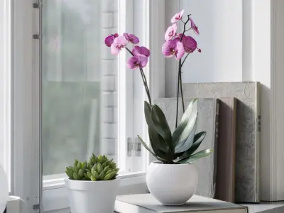  Orchid Plant Model, Purple 