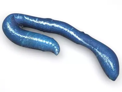 Blue Earthworm 3D model