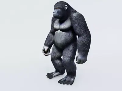 Gorilla Free 3D model