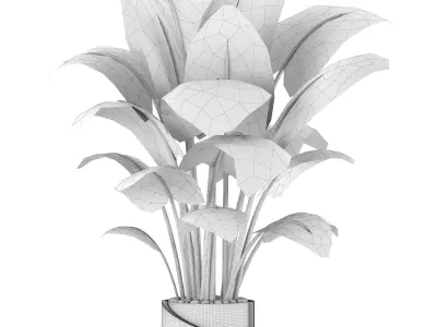 Indoor Plants in Ferm Living Bau Pot Large - Set02 3D model