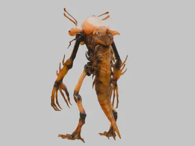 Stylized Prawn 3D Model Low-poly 3D model