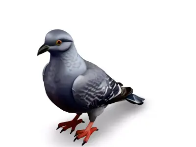 Realistic Pigeon 3D Model Low-poly 3D model