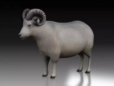 sheep ram ewe lamp wool fur farm livestock domesticated  3D model
