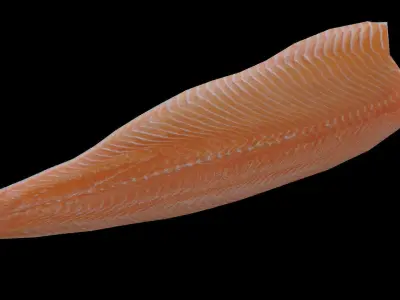 Salmon fillet Low-poly 3D model