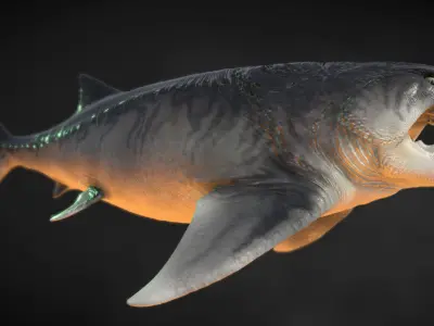 Dunkleosteus paleo accurate Low-poly 3D model