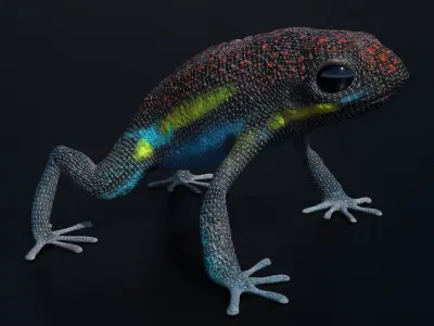 Arrow Frog rigged VR AR low-poly 3d model Free low-poly 3D model