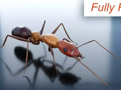 Ant 3D Rig Low-poly 3D model