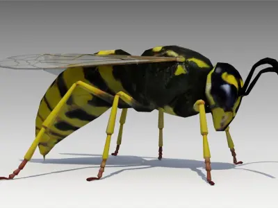 Wasp Animated Low-poly 3D model