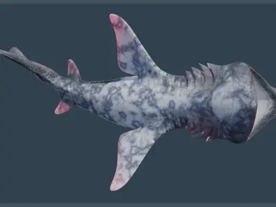 Basking Shark Low-poly 3D model