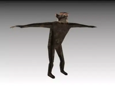 CHIMPANZE monkey 3D model